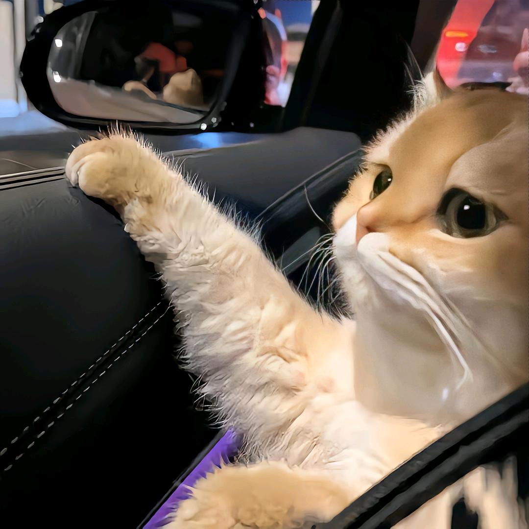 小臭狗