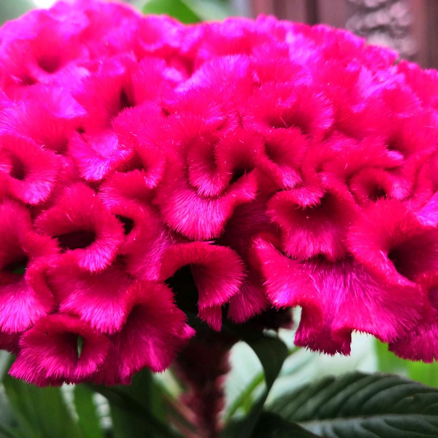 我心依旧在江湖