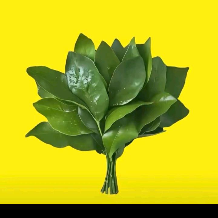 风 云🍀再 起