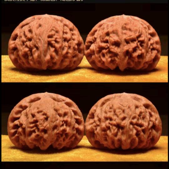 暖昭