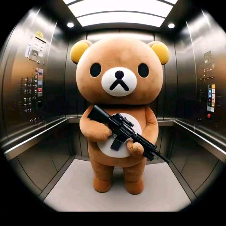 狮子座♌️