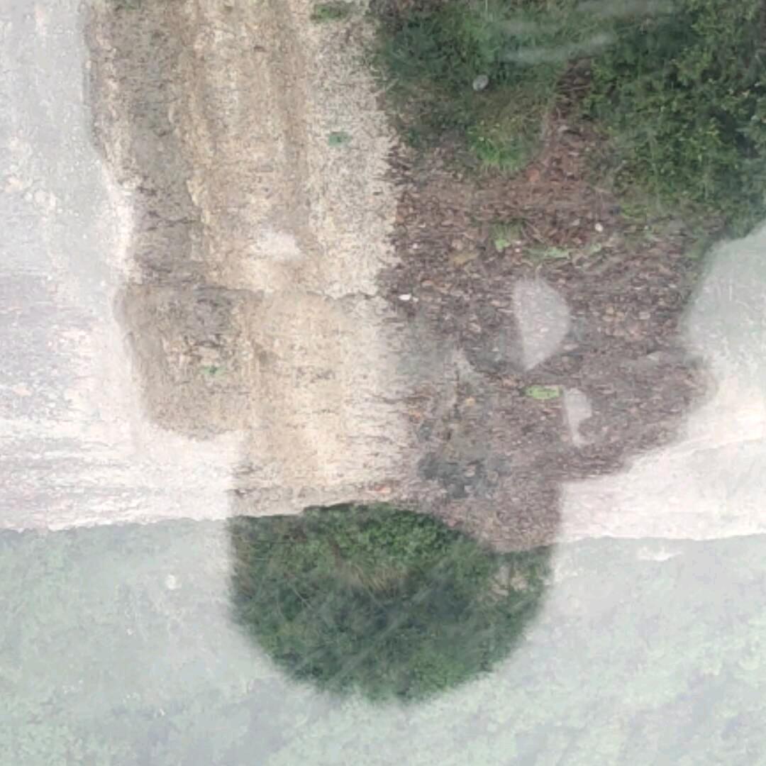 子由