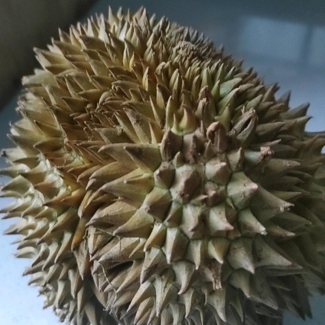 天空依然晴朗