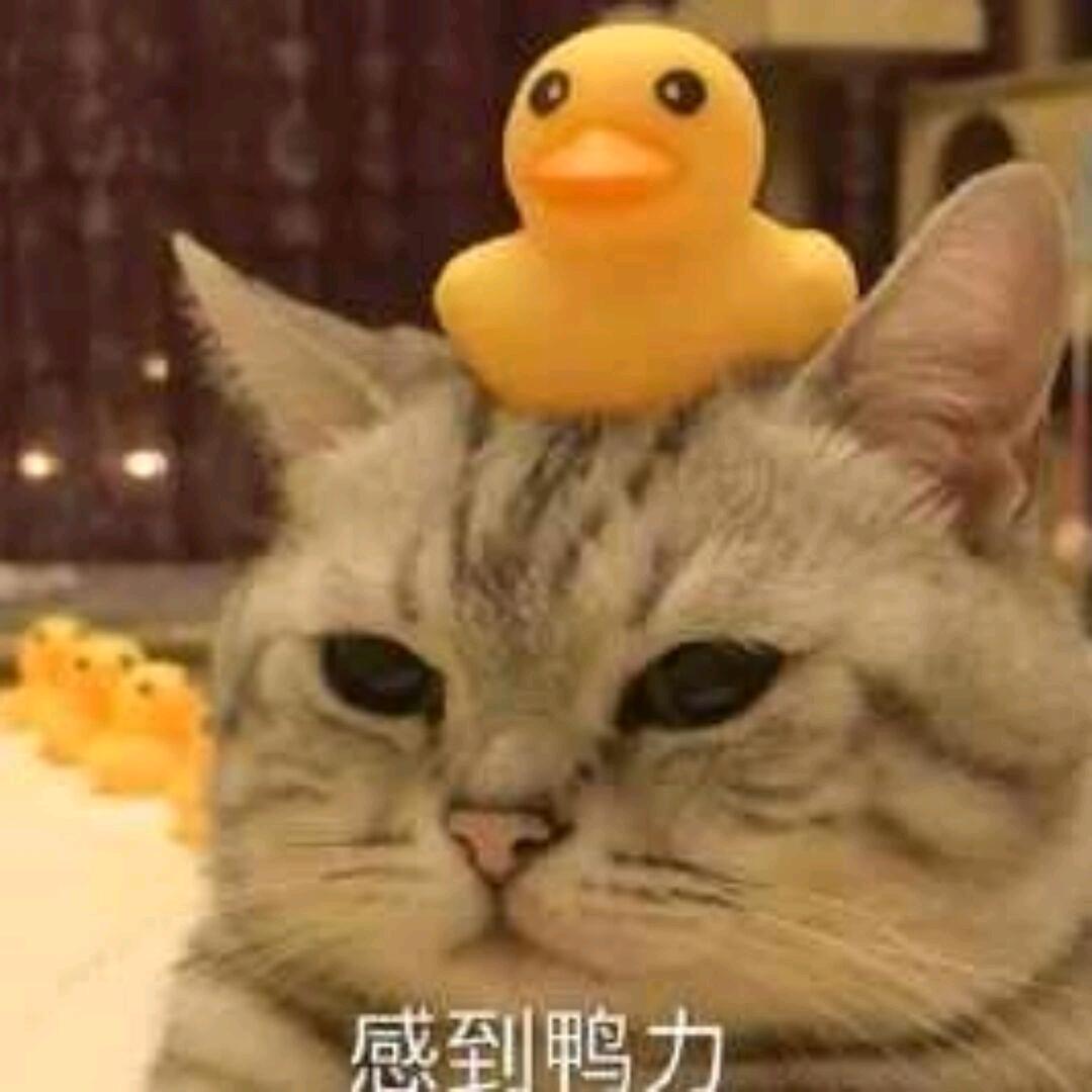 发现女神玩4i被她用大假肢狠狠奖励