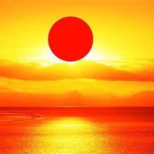 兴化红梦依服装