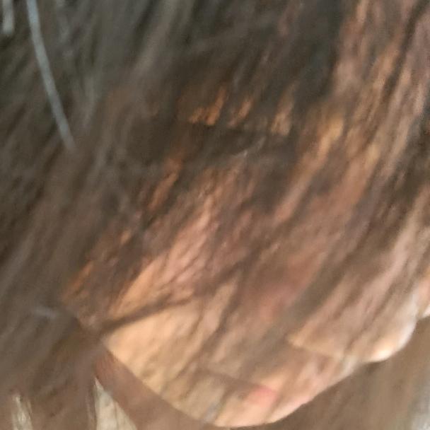 卿禧