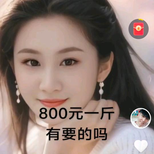 单身雅婷