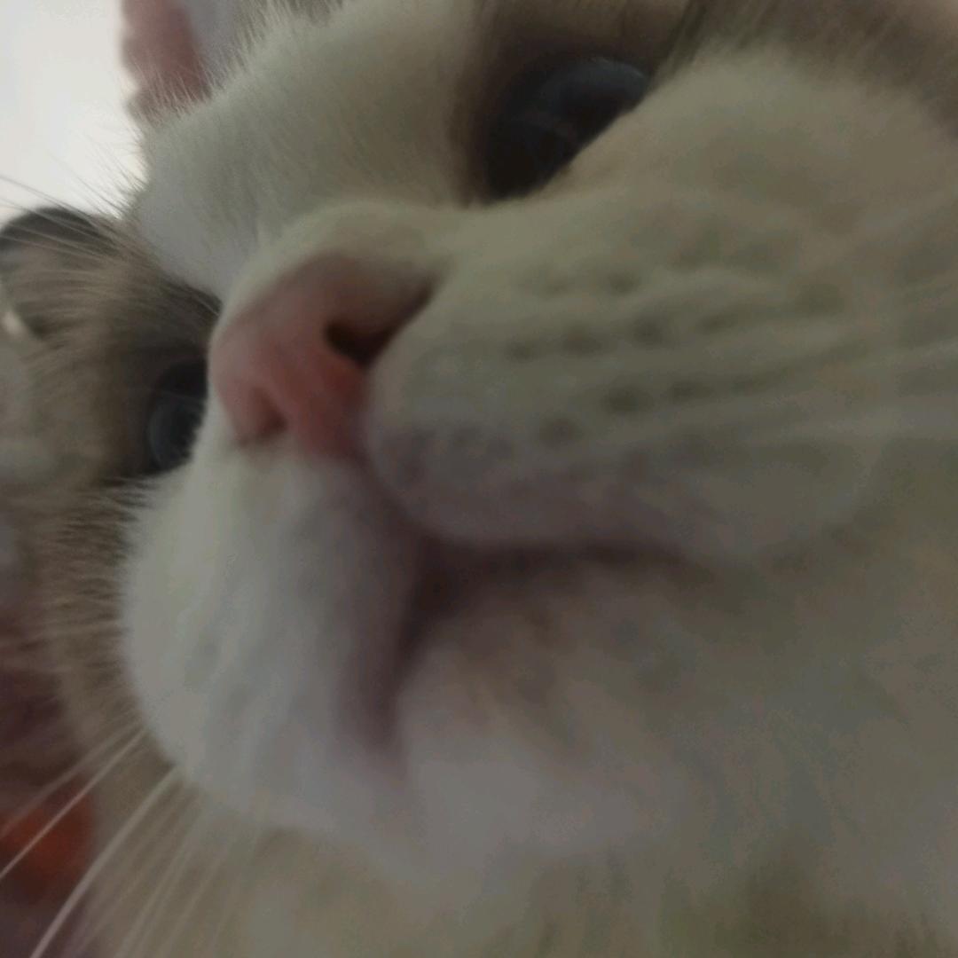 忘了