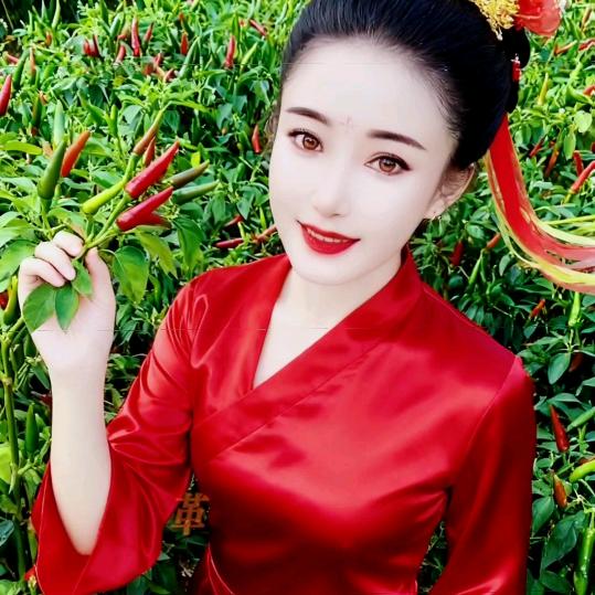 春天来了小号