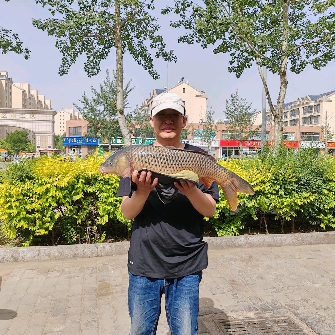 钓大鱼史老师的朋友圈