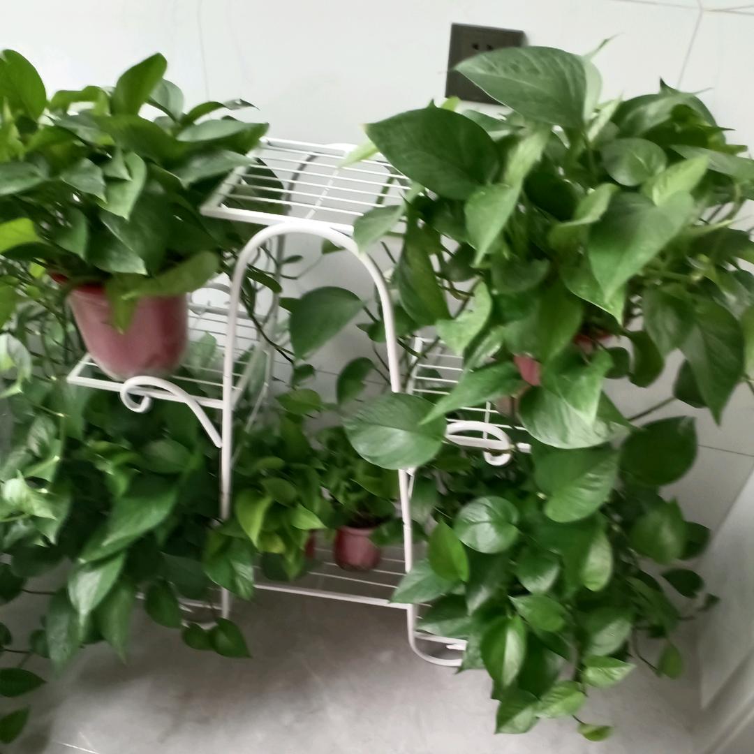 🍎钟爱🍒一生🍊