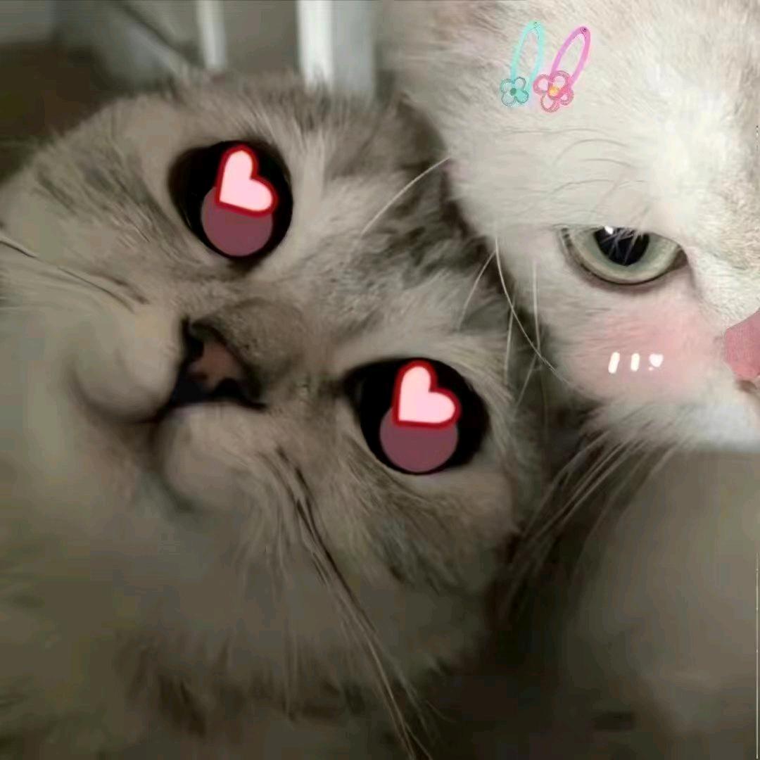 羽子