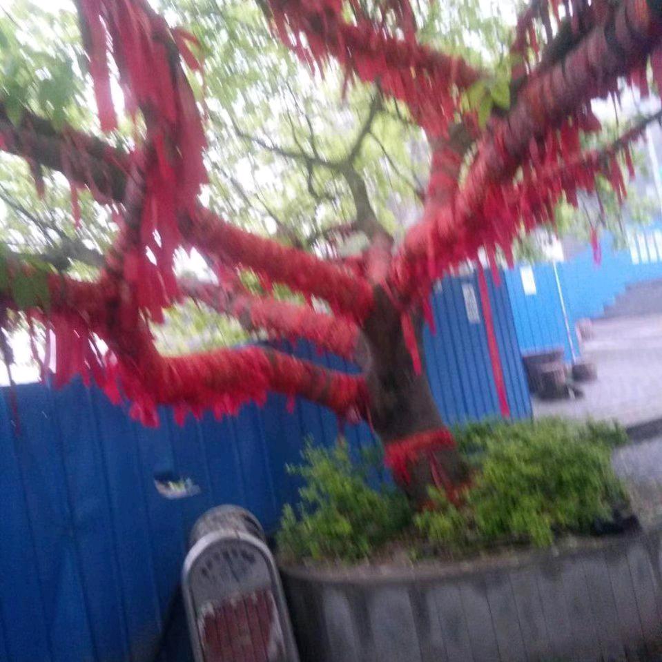 ~義~结~金~兰~