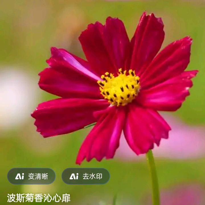 阳光