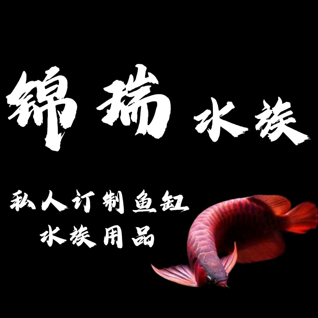 洛阳锦瑞水族（鱼缸定制）