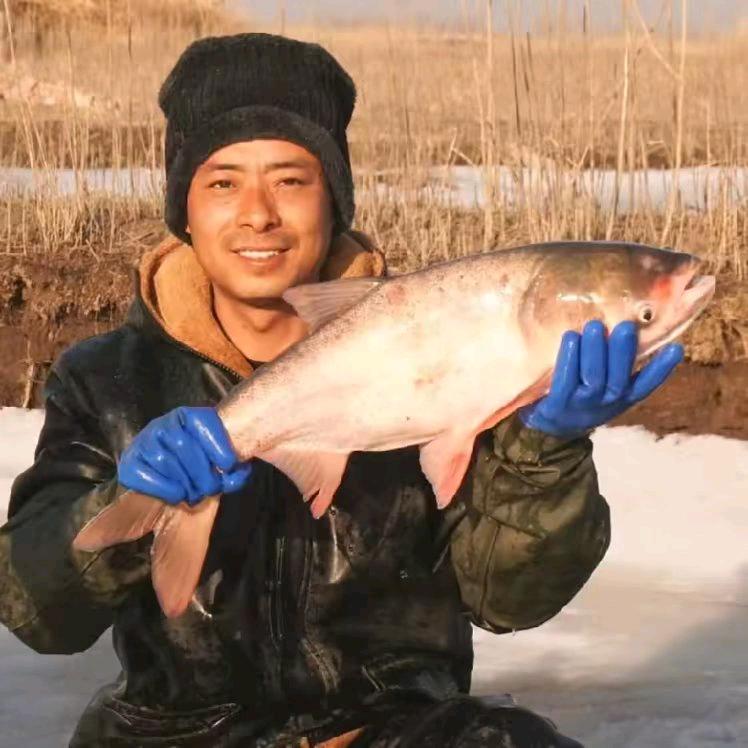 盘锦绕阳湾小顾