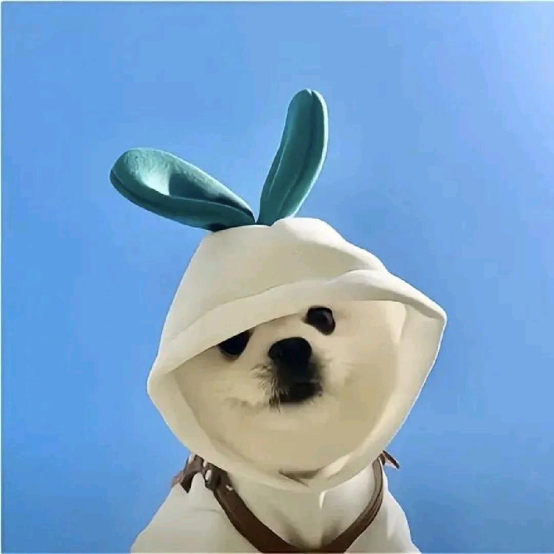 你脸红什么