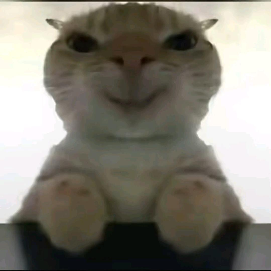 牛角 （三角洲行动）