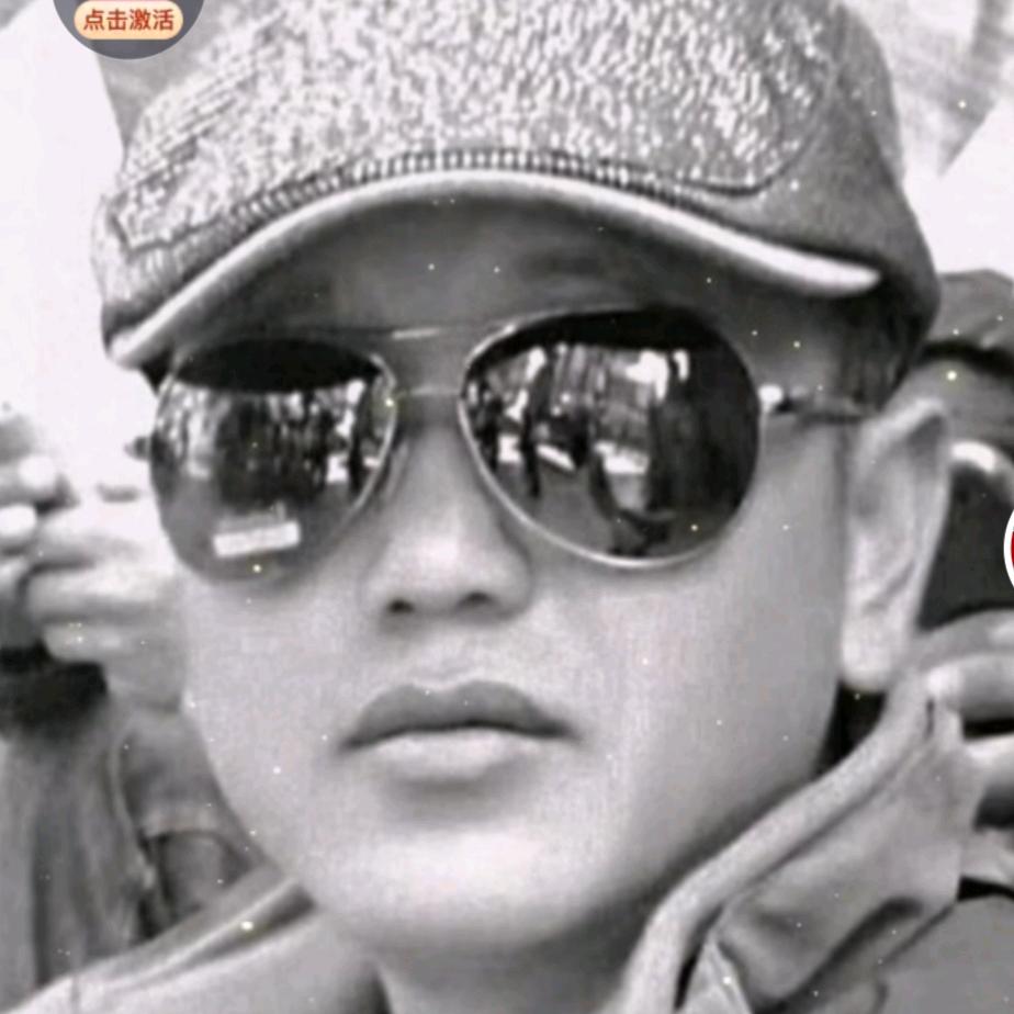 鸽百年松毛乳鸽