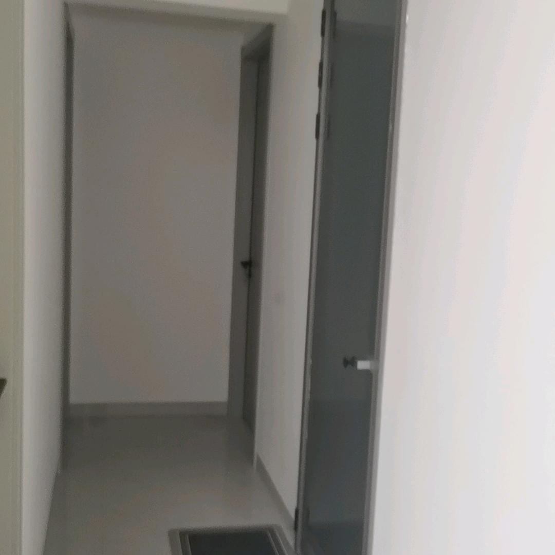 北方的狼