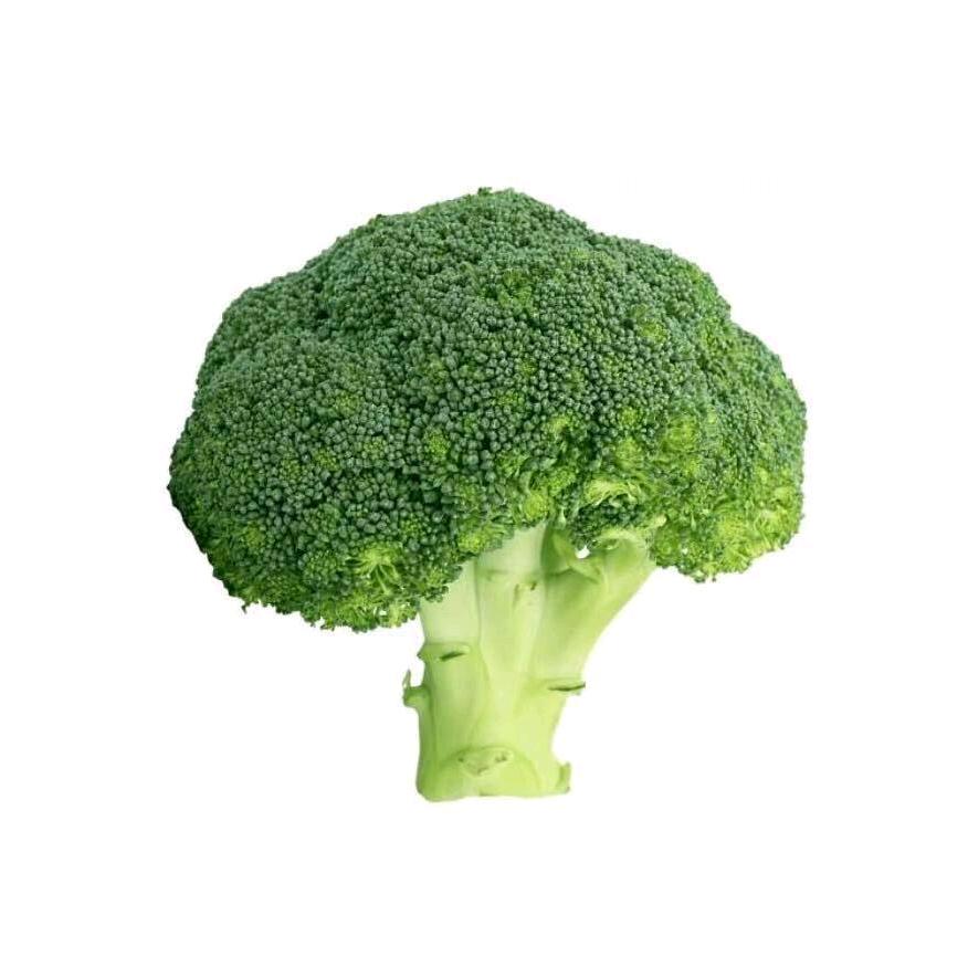 鮹鱼
