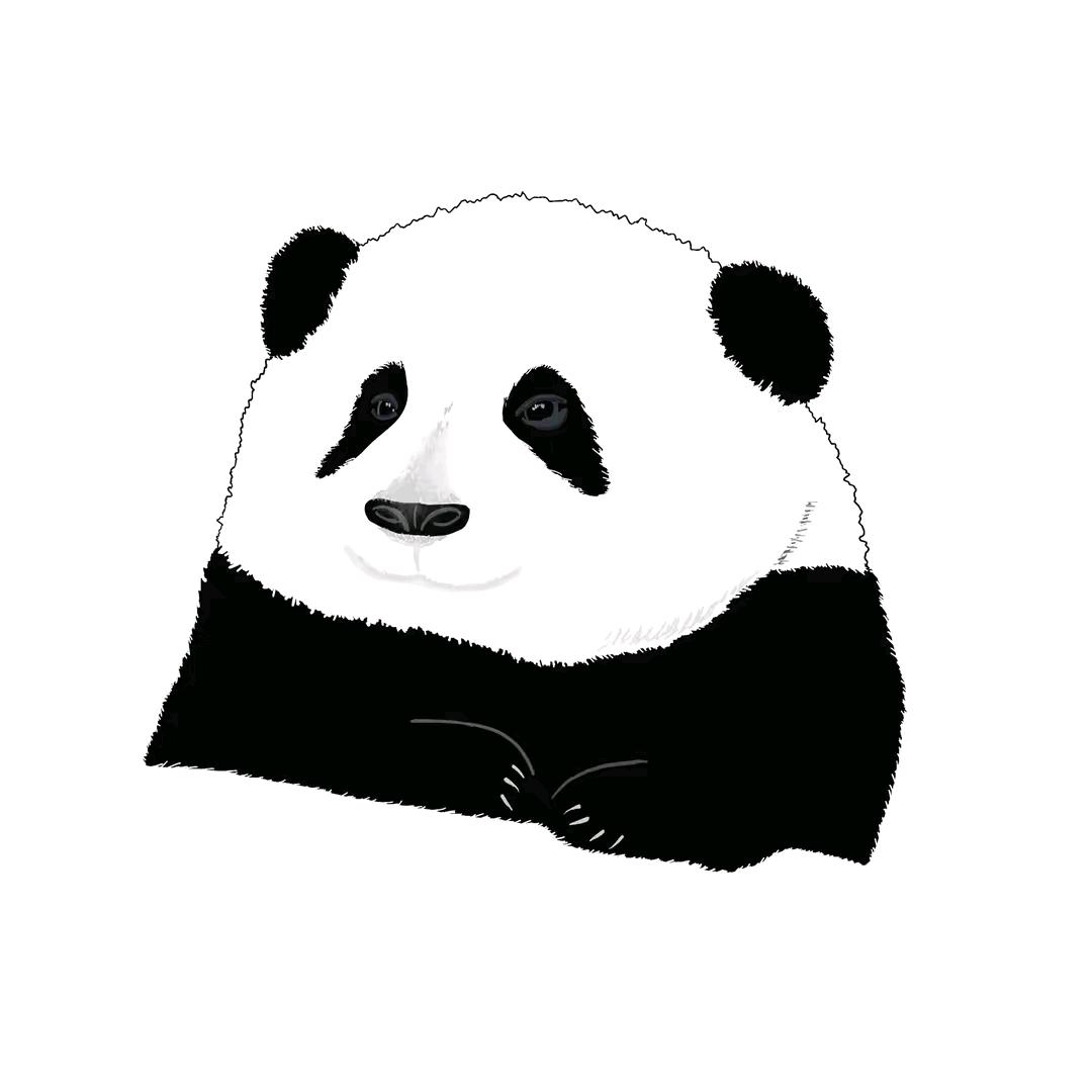 铁钩船长丶