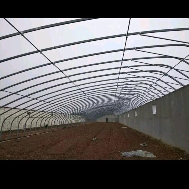 达之琳温室大棚
