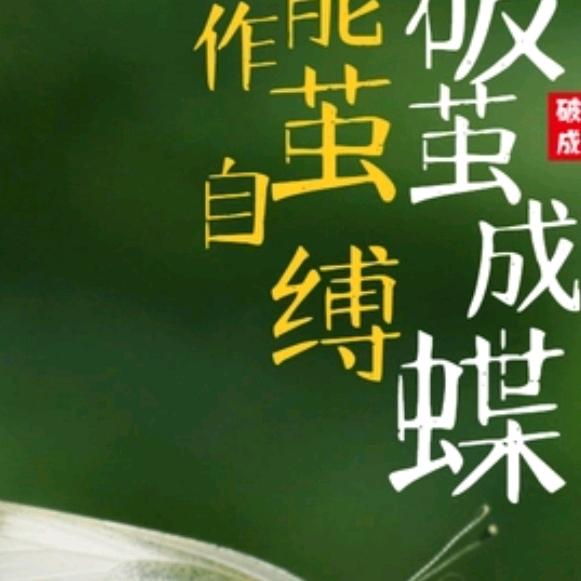 向阳而生