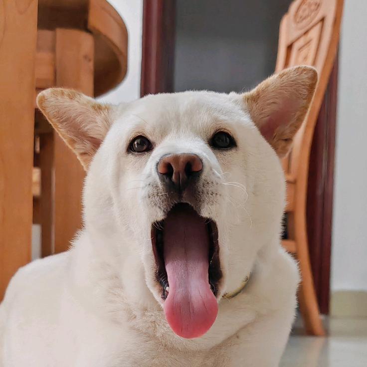 六六六头像