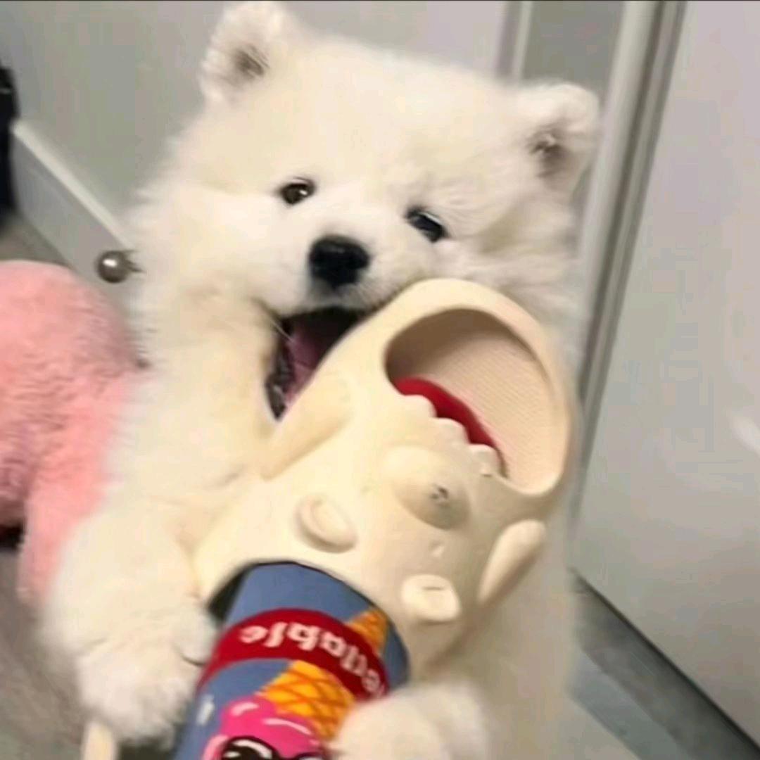 绾绾