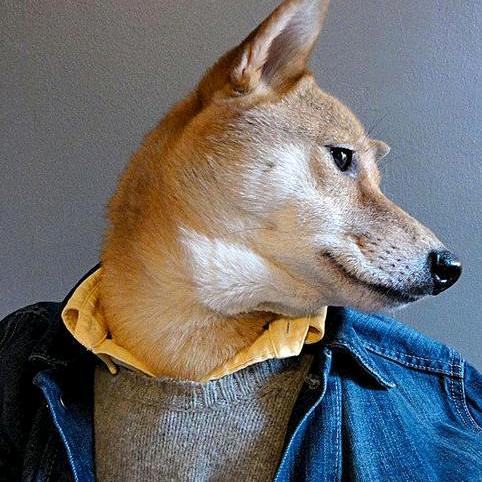 🍁枫叶是红色的🍁