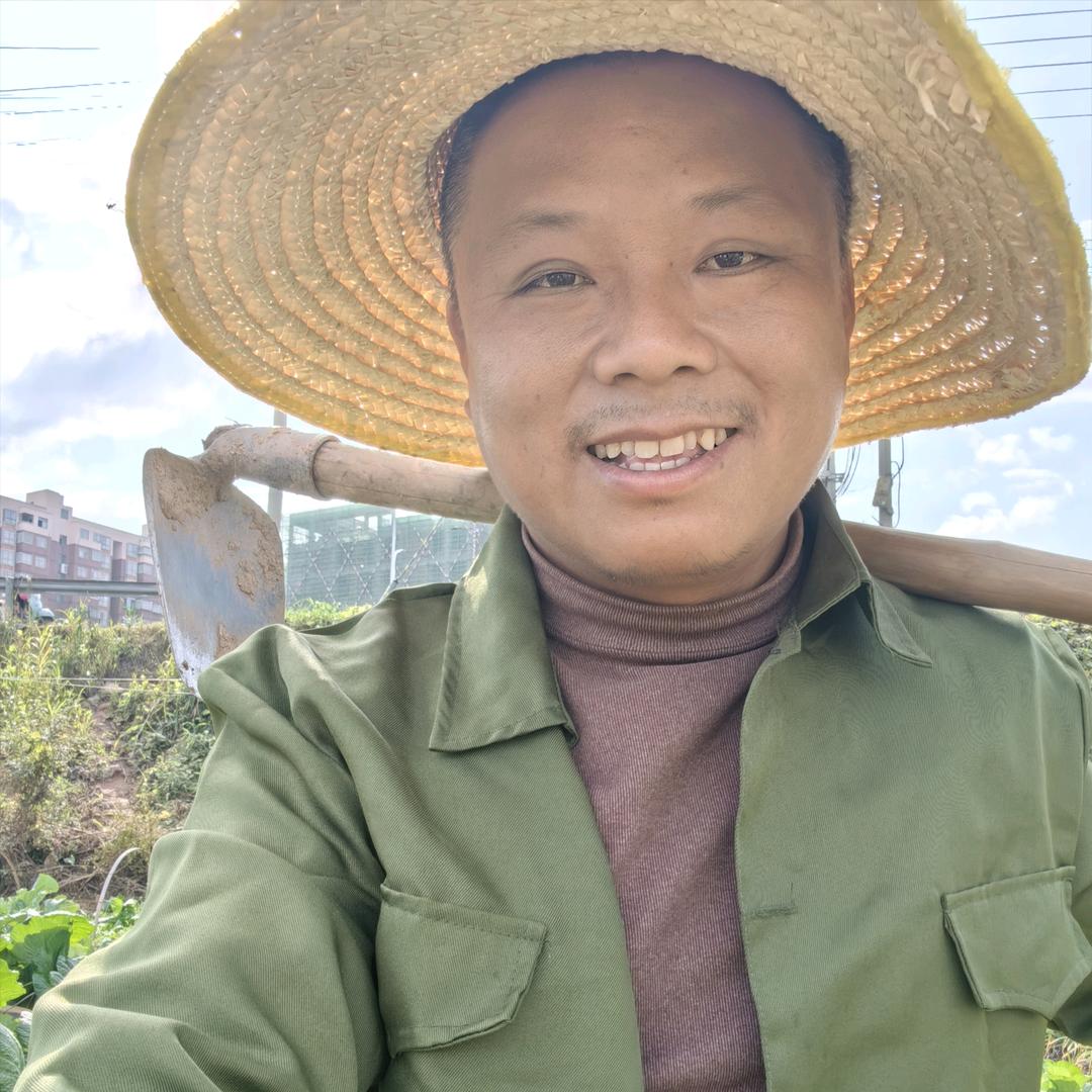 刘大胆（晚上7:30首播）