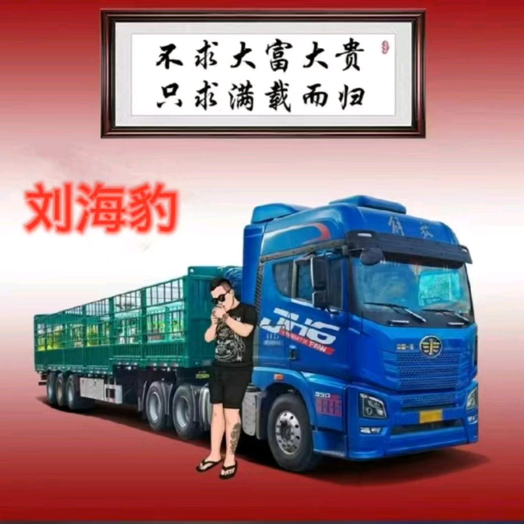 巜开大车逛全国》全国代驾劉海豹