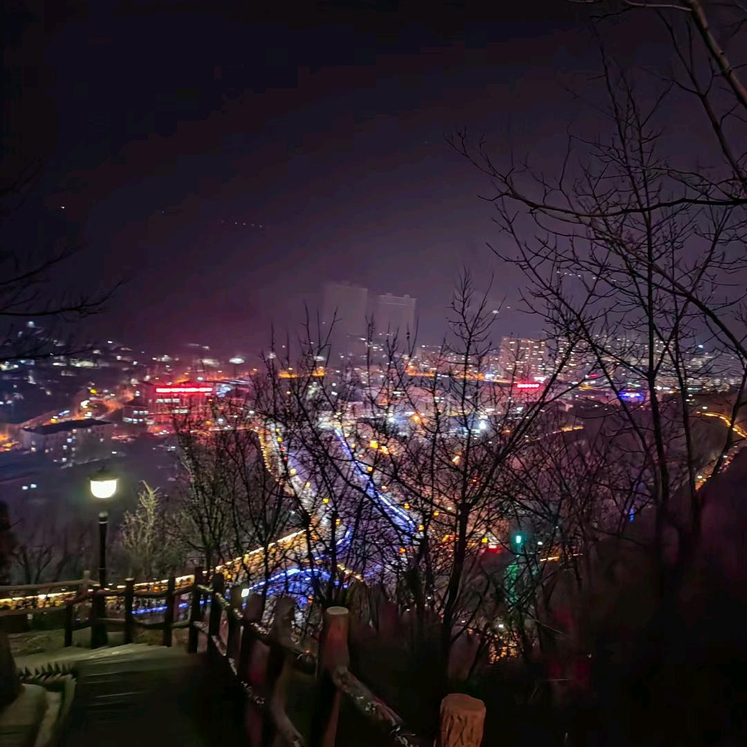 繁花落尽10-8