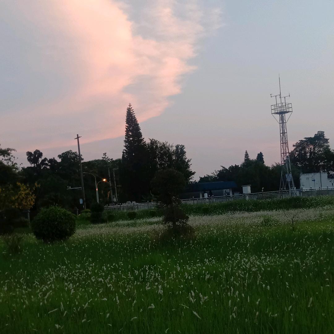 (♡⌂♡)