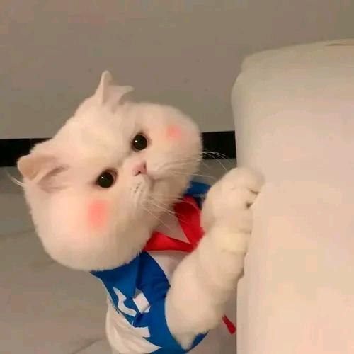 莫名