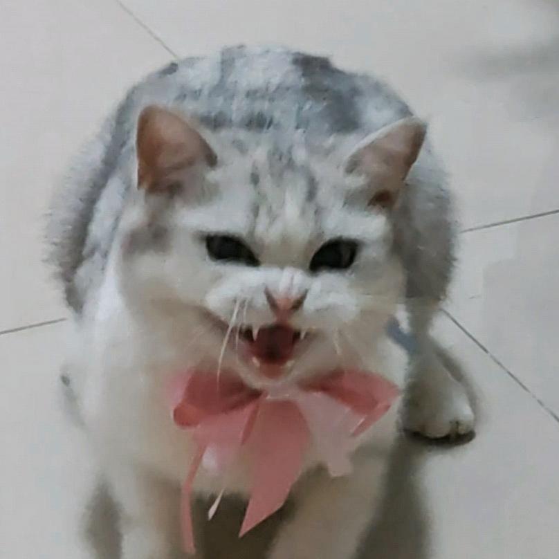 哎呦不想改名了