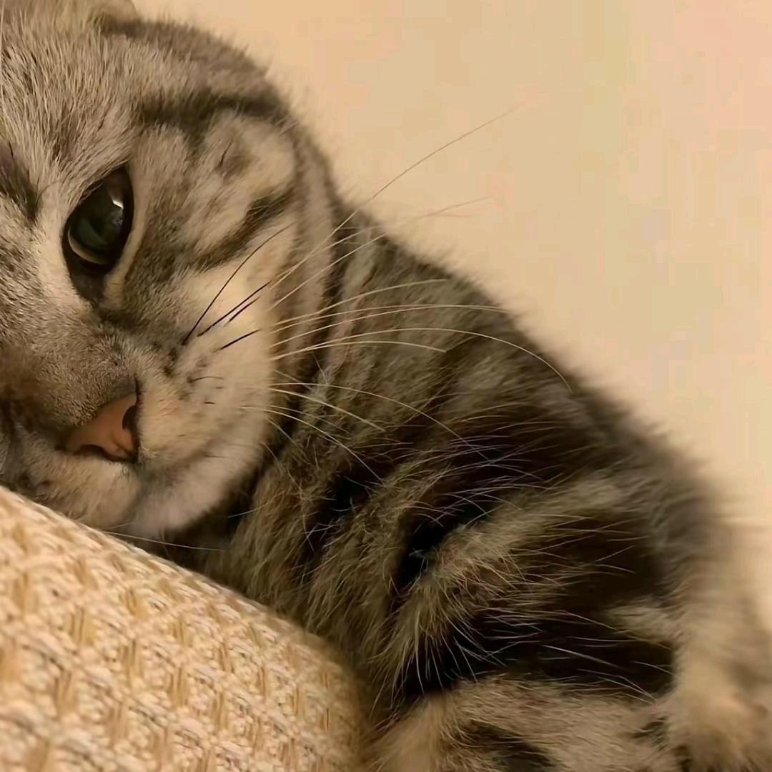 总说我天真