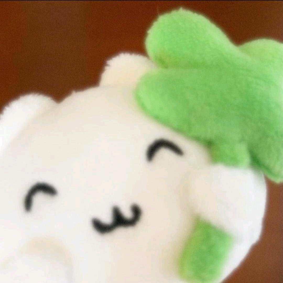 ㅋㅋㅋ