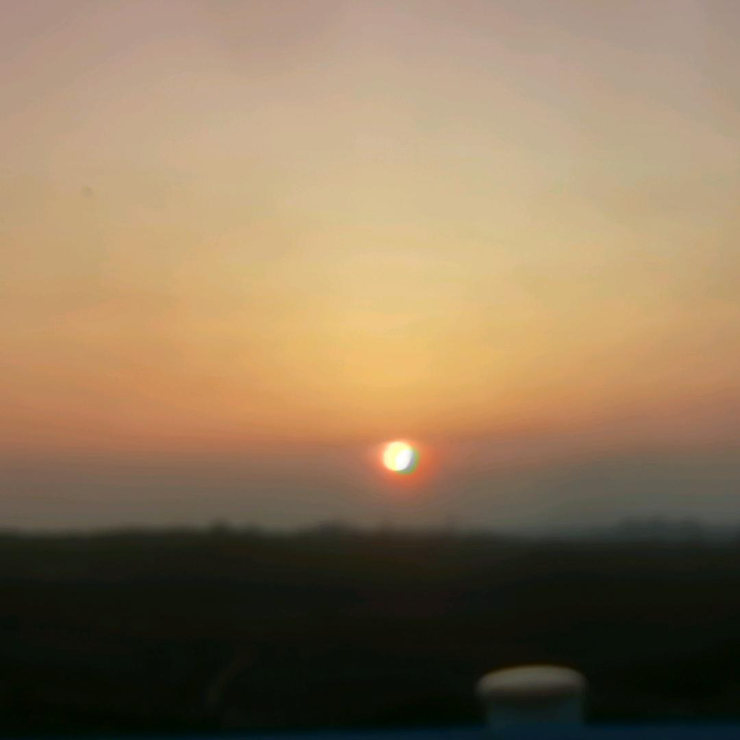 旺财与来福