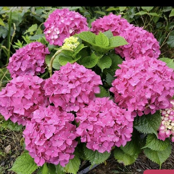 @꧁陌路人gu0zheng꧂