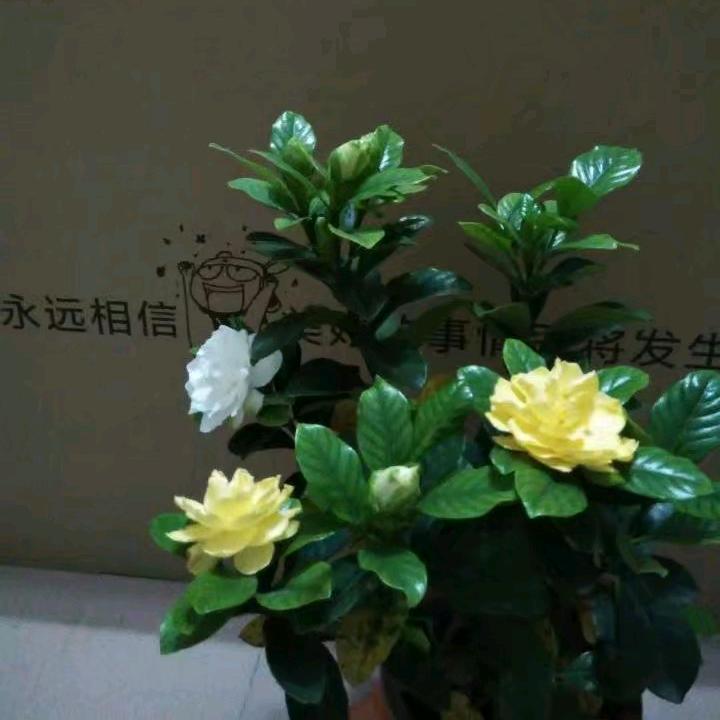 暖洋翎针织服饰铺子