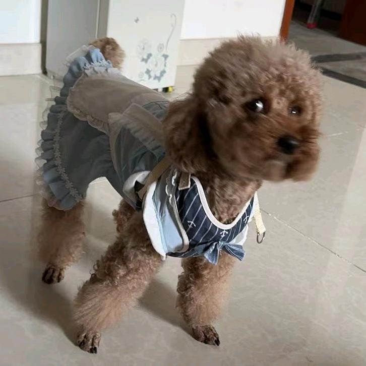 哥本哈根大巨蜥