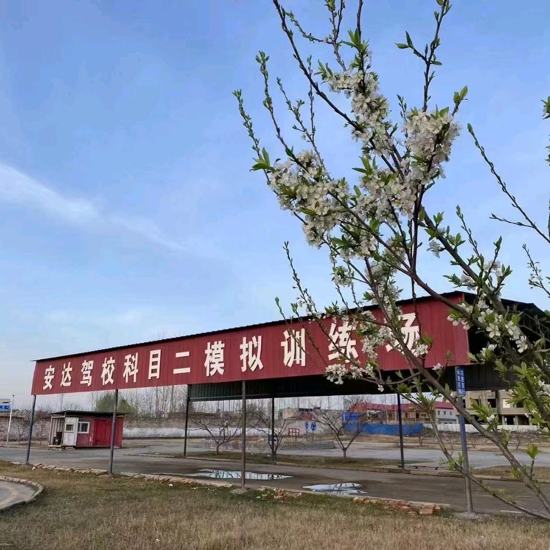 安达驾校李春风教练