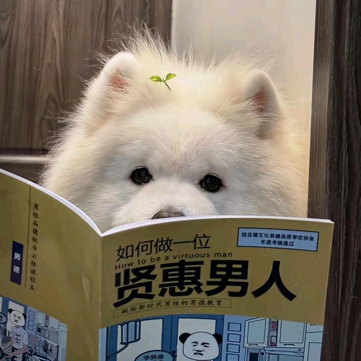 江晚吟