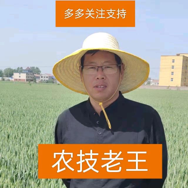 王老师说三农