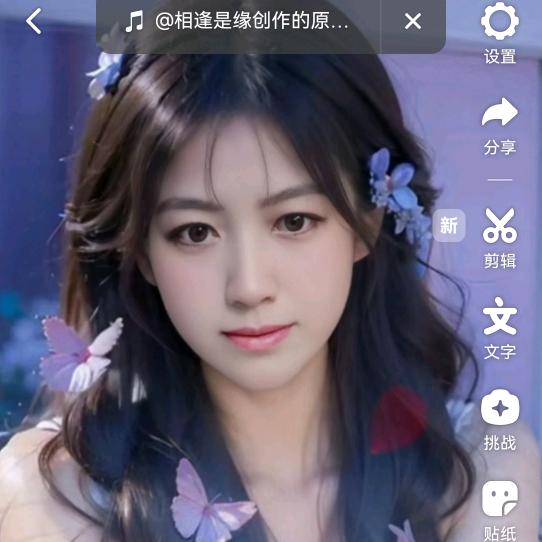 《梅🦋梅》