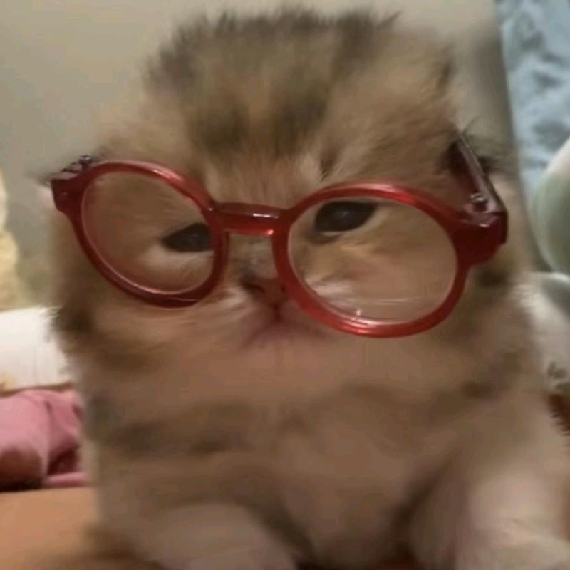 橘子不是唯一的水果.