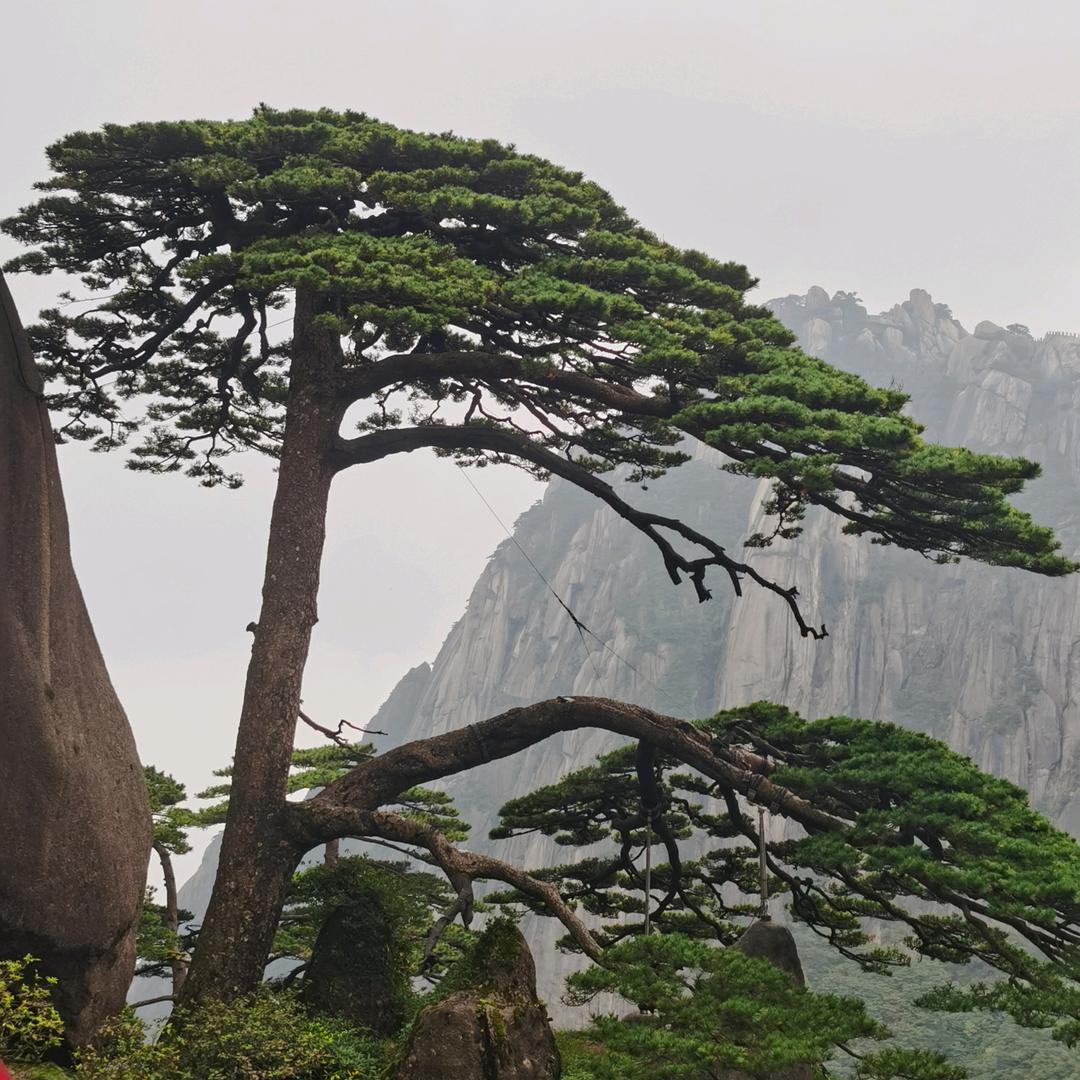 苏州伟哥🔥🔥🔥