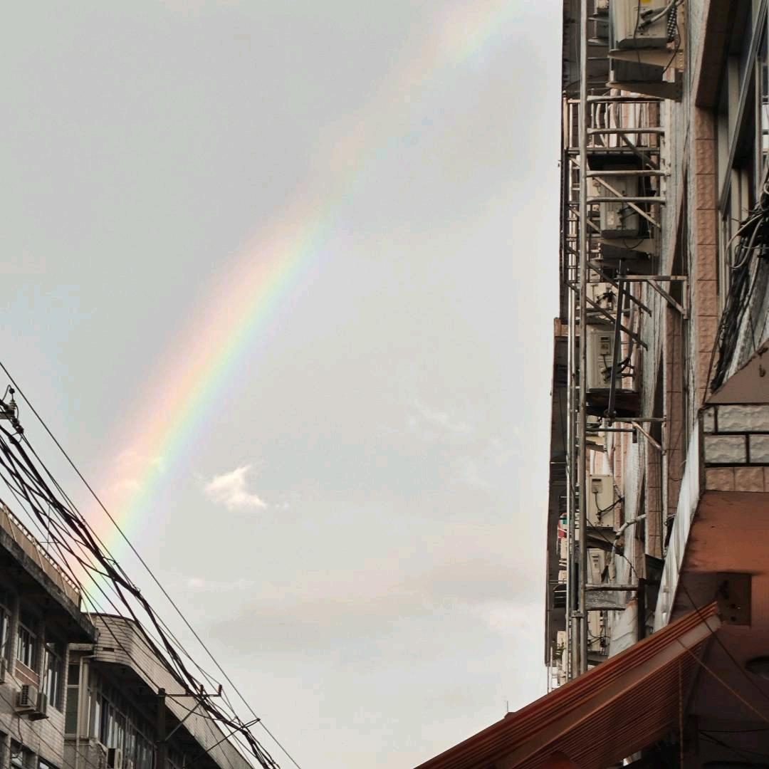 毅邦